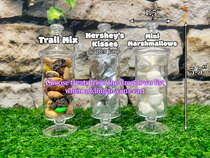 Girl Gymnast theme | Gym Theme | Acrobatics Birthday | Gym Apothecary Jar | Gym Theme | Gym Jungle | Birthday Party Favor SET OF 12
