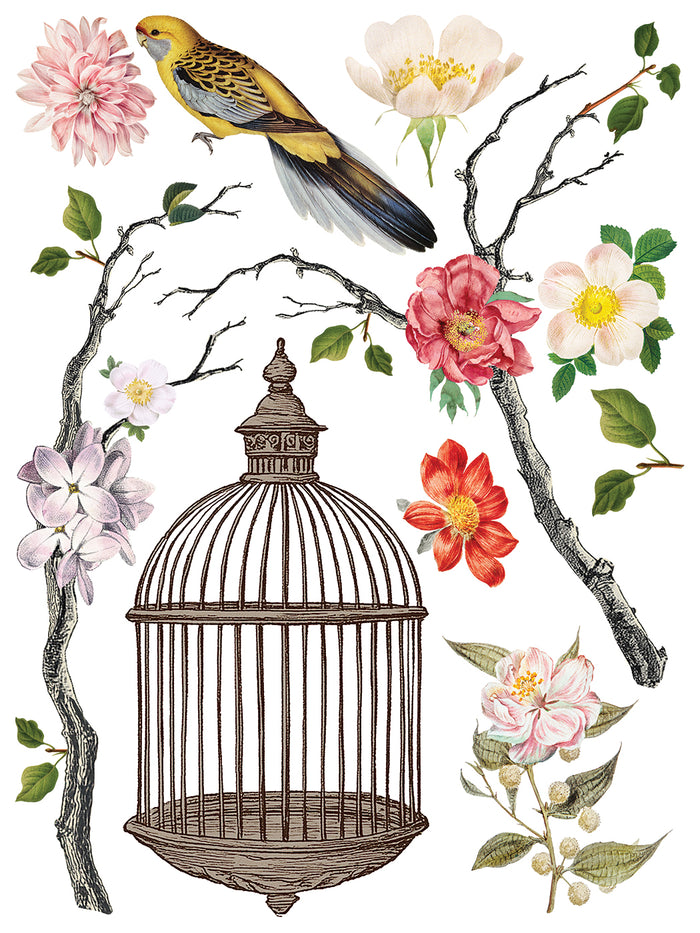 MENAGERIE IOD TRANSFER 12 x 16 PAD