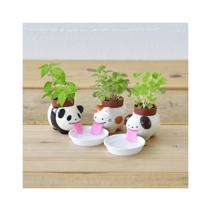 Peropon Panda