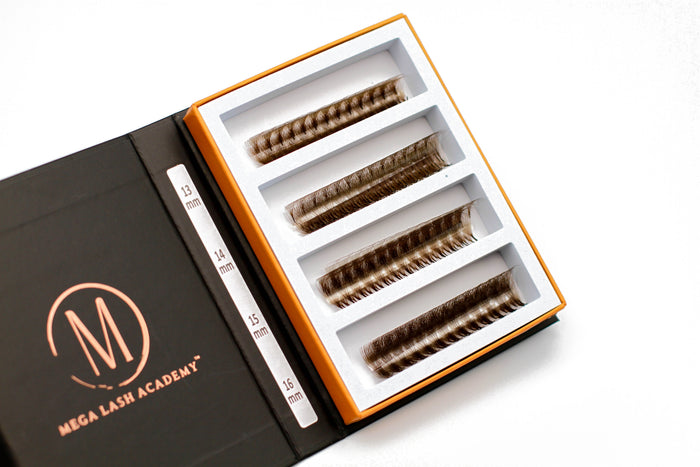 10D Brown Rapid Promade Fans