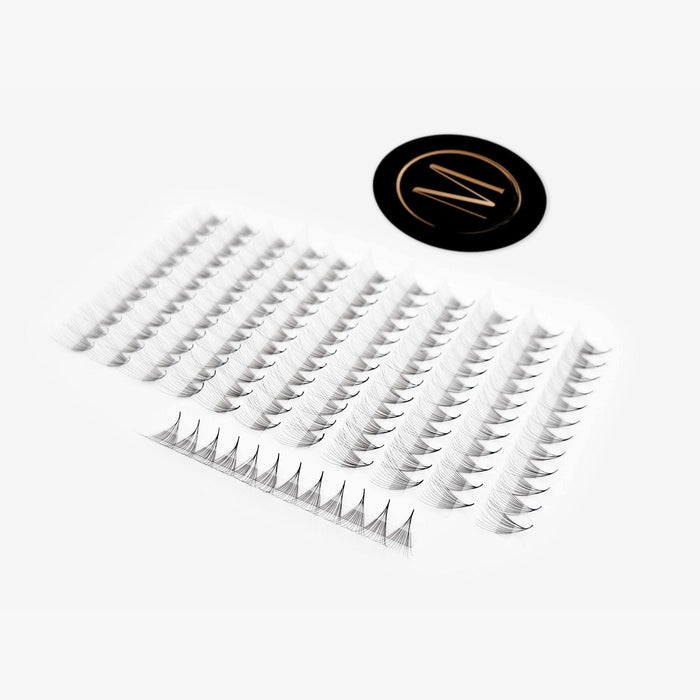 12D Rapid Promade Fans® - 1000 Fans