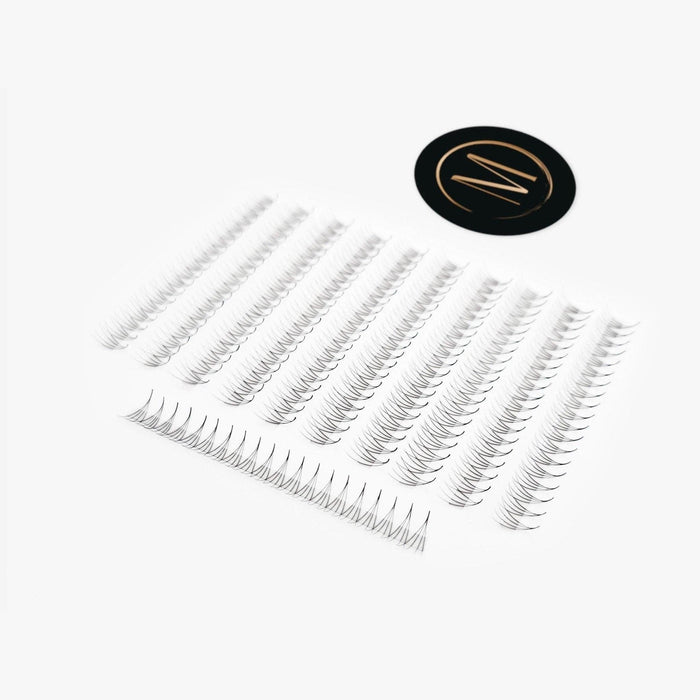 4D Rapid Promade Fans® - 1000 Fans
