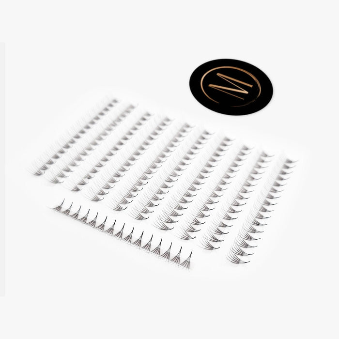 5D Rapid Promade Fans® - 1000 Fans