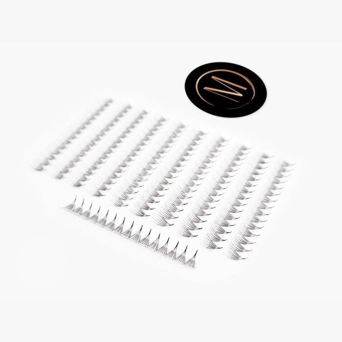 6D Mix Rapid Promade Fans® - 1000 Fans