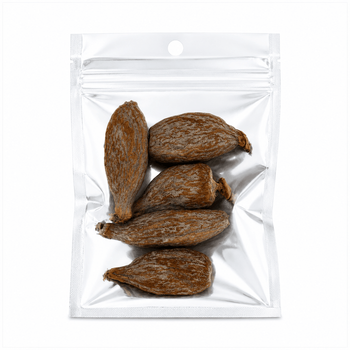 Alligator Pepper (Atare) – Whole Pods, Grains of Paradise – Single Unit (Inventory Stock)
