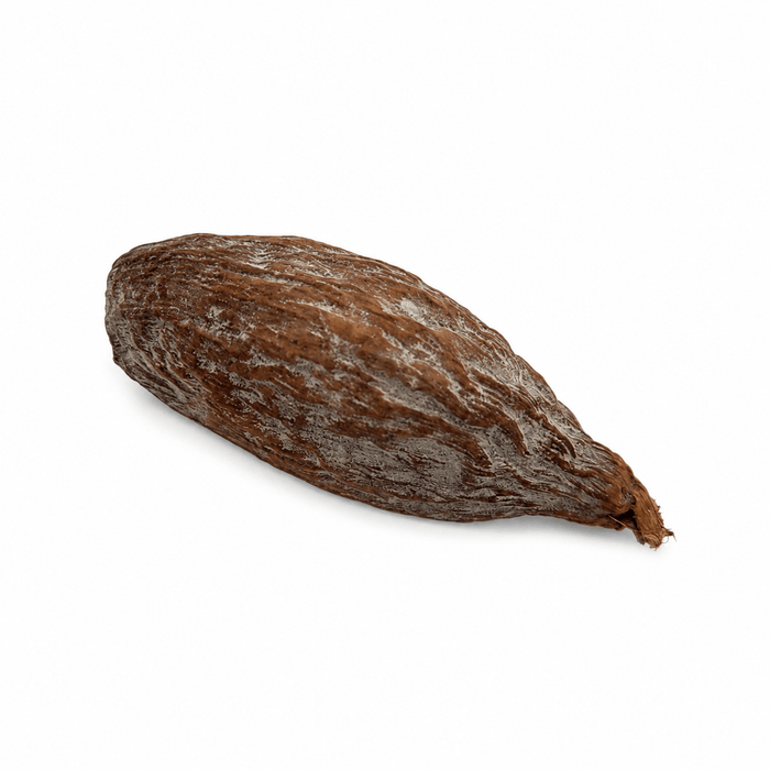 Alligator pepper seeds, grains of paradise, West African spice
