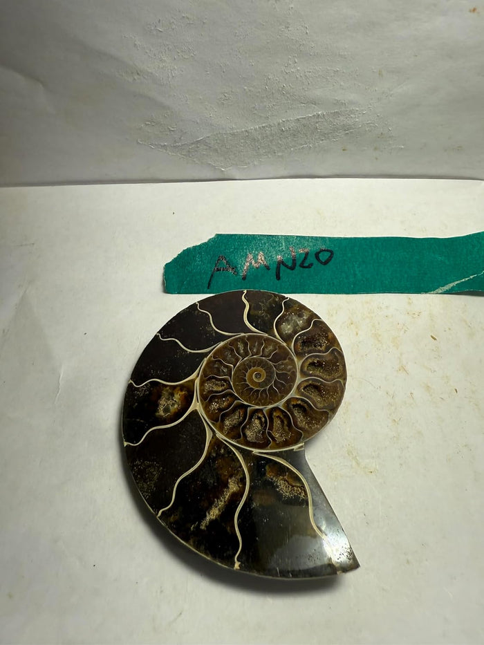 Ammonite Pair (AMN20) - Split & Polished - Madagascar - 3.25 Inches from DINOSAURS ROCK