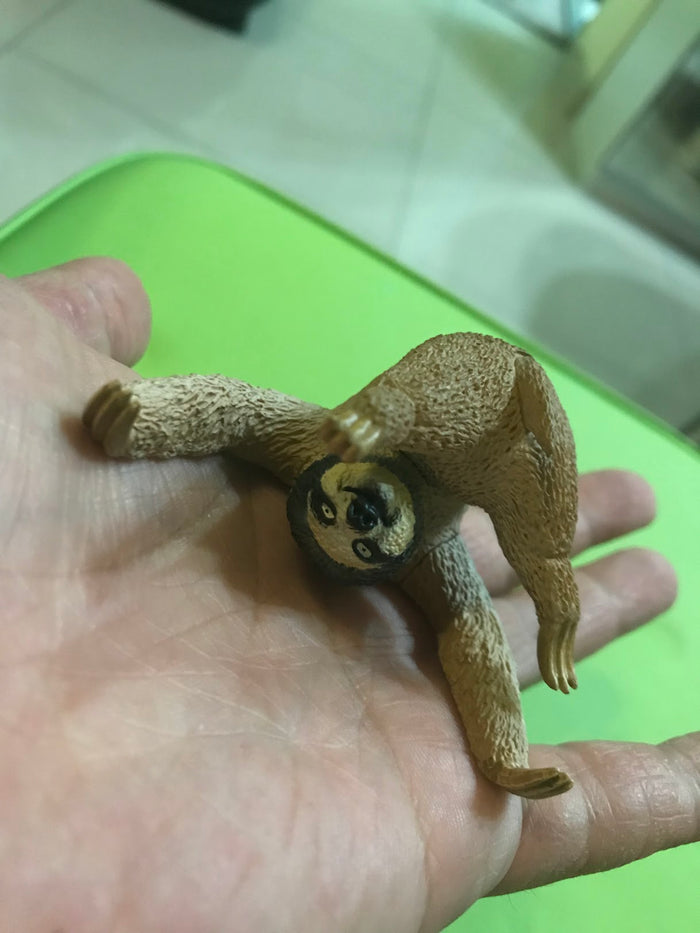 Animal Life Asakuma Toshio roll one's eyes Animal Sloth PVC Mini Figurine Figure Model