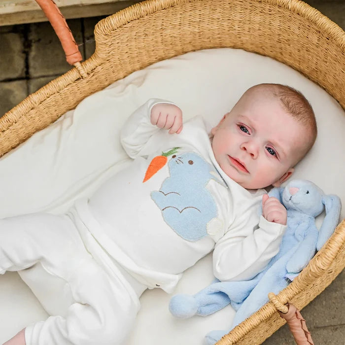 Baby Blue Bunny 2 Piece Set