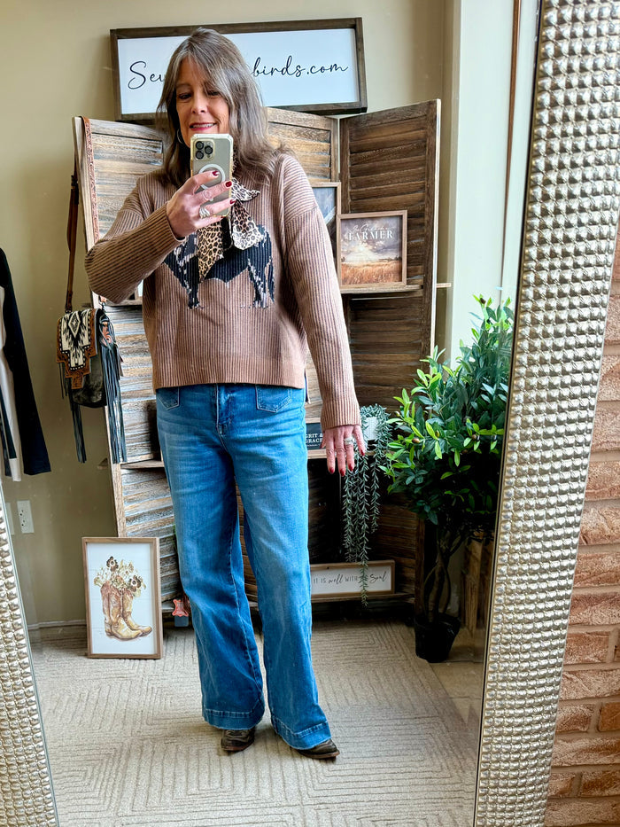 Taupe ribbed V-neck pullover sweater with long sleeves and Angus cow graphic on front