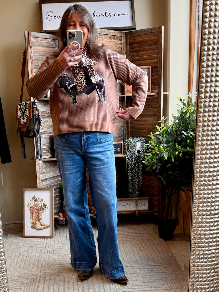 Taupe ribbed V-neck pullover sweater with long sleeves and Angus cow graphic