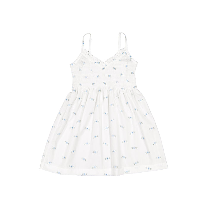 Blue Blossoms Girl Dress