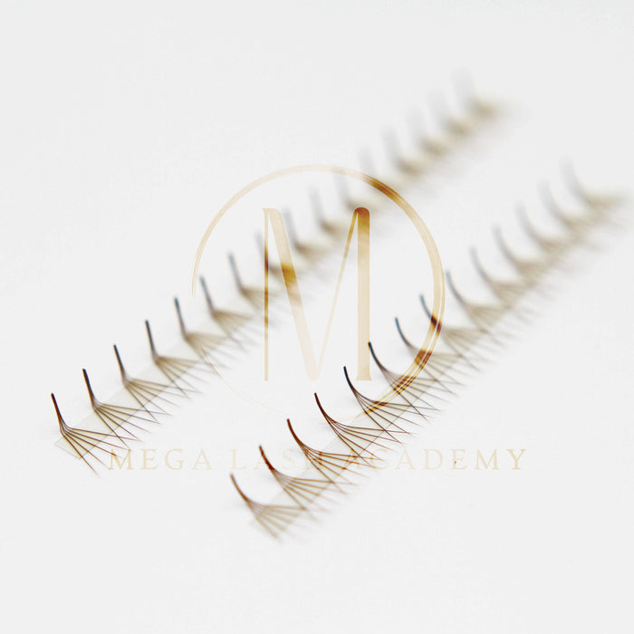 Brown M and L Curl 5D Rapid Promade Fans - 600 Fans