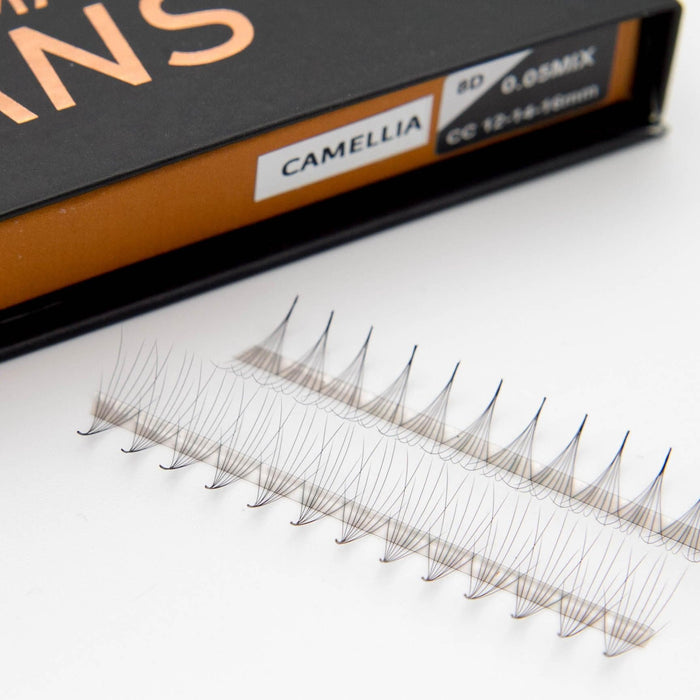 Camellia 8D Rapid Promade Fans®