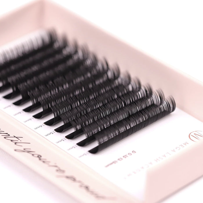 Classic Lash Trays 0.15 & 0.18