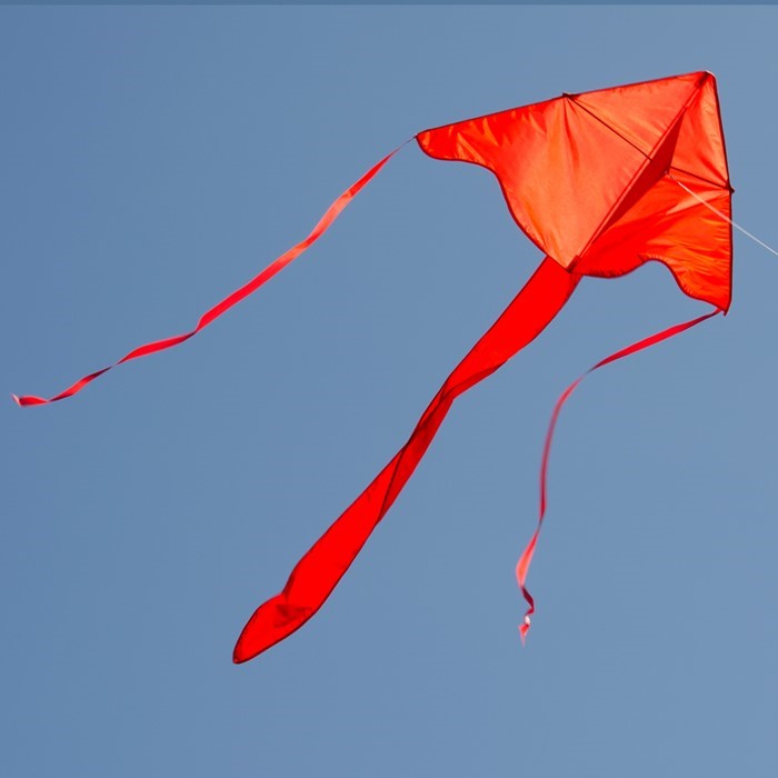 COLORFLY 43" FLY-HI KITE