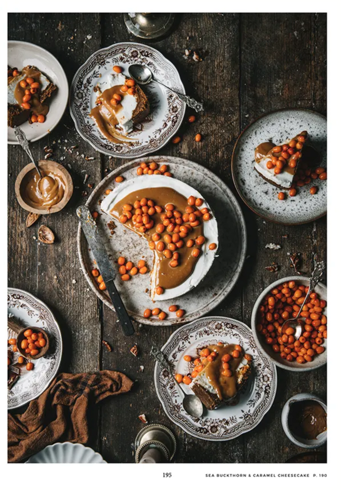 Cozy Publishing Nordic Winter Book