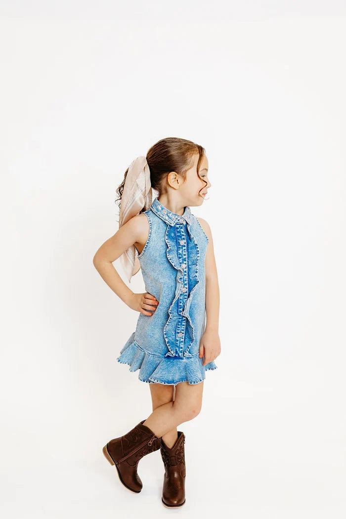 Crystal Collar Denim Ruffle Dress
