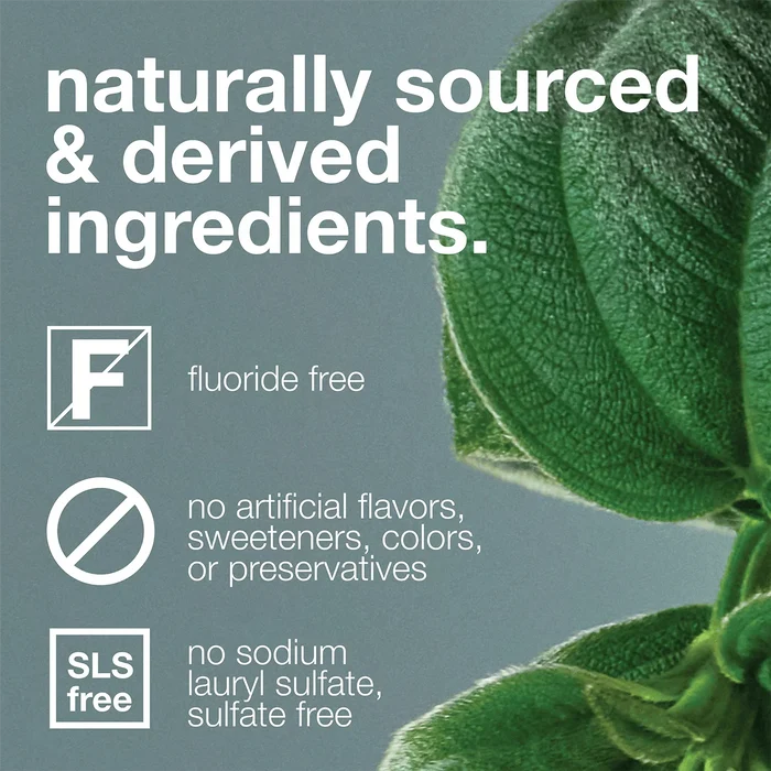 Davids Premium Toothpaste / Charcoal + Peppermint