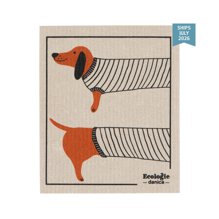 Dachshund