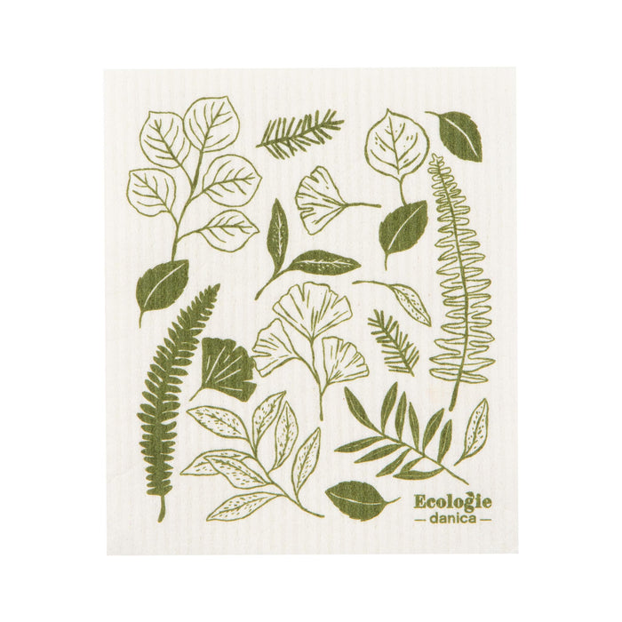 Fern & Frond