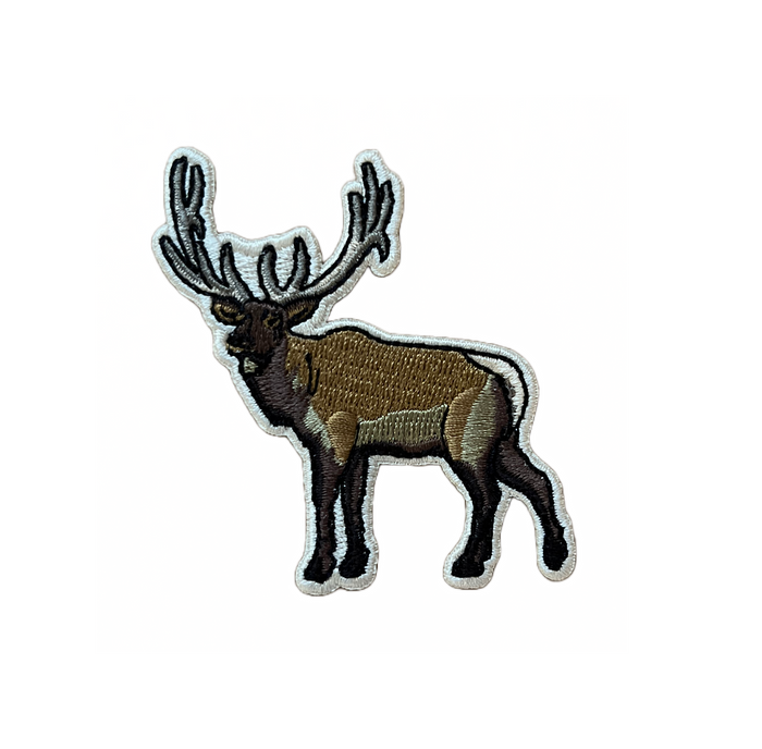 Embroidered Iron-On Patch