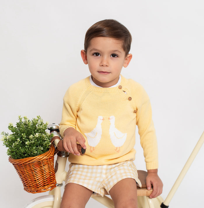 Emilio Yellow Ducks Knitted Sweater