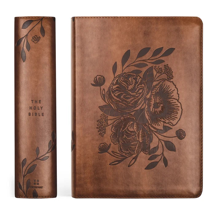 ESV Study Bible: Aurora Theme