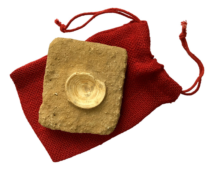 Genuine Fossil "Otodus" Lamna Obliqua Shark Vertebrae In Matrix