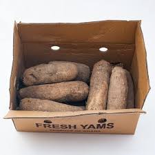 Ghana Puna Yam, 50 lb Box – Bulk Fresh African Yam - Yado African & Caribbean Market