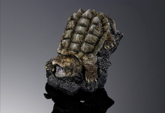Japan Common Snapping Turtle PVC Mini Model Figurine with stand (Brown)