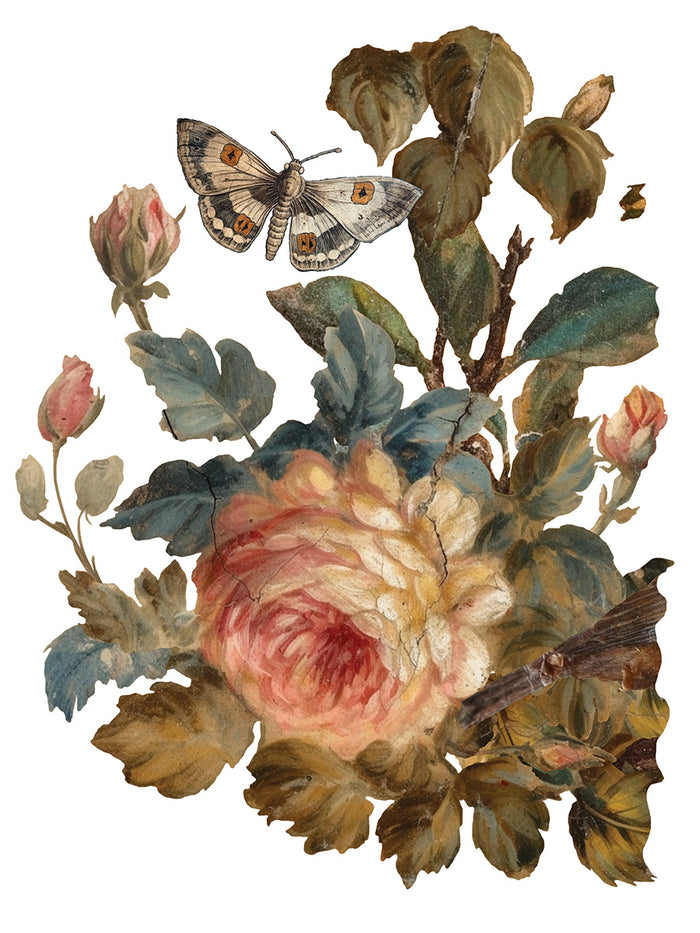 Joie Des Roses IOD TRANSFER  PAD 12 x 16"