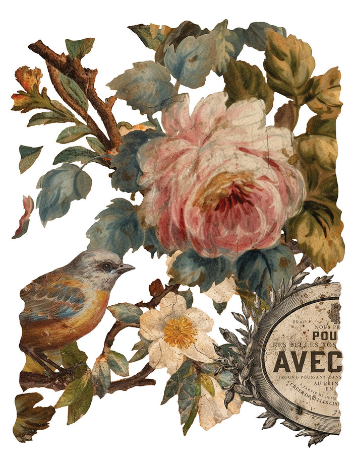 Joie Des Roses IOD TRANSFER  PAD 12 x 16"