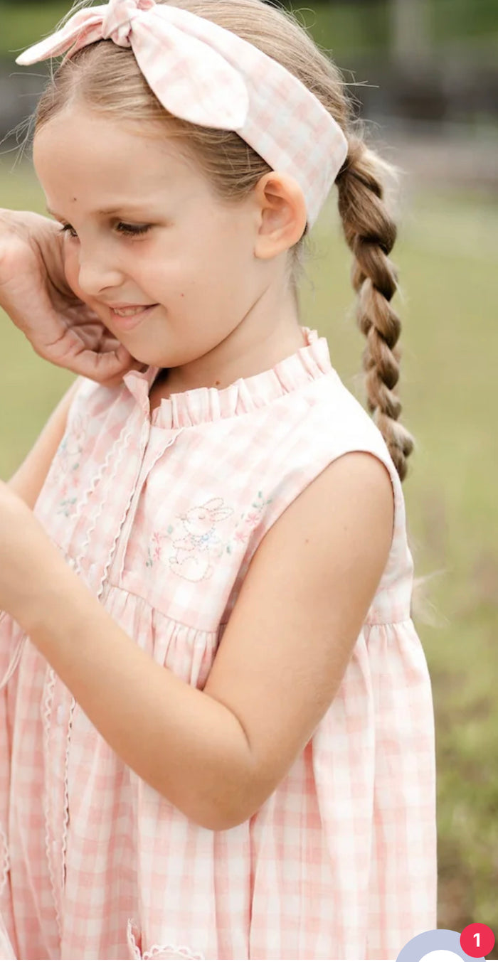 Kit Pink Gingham Embroidered Bunny Dress