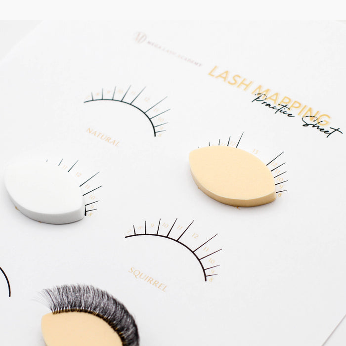 Lash Practice Sponges - 25 pcs