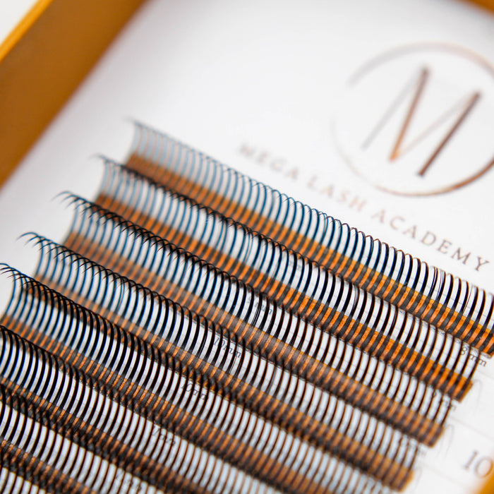 Lash Spikes for Wet Sets - 0.05 Closed Fans