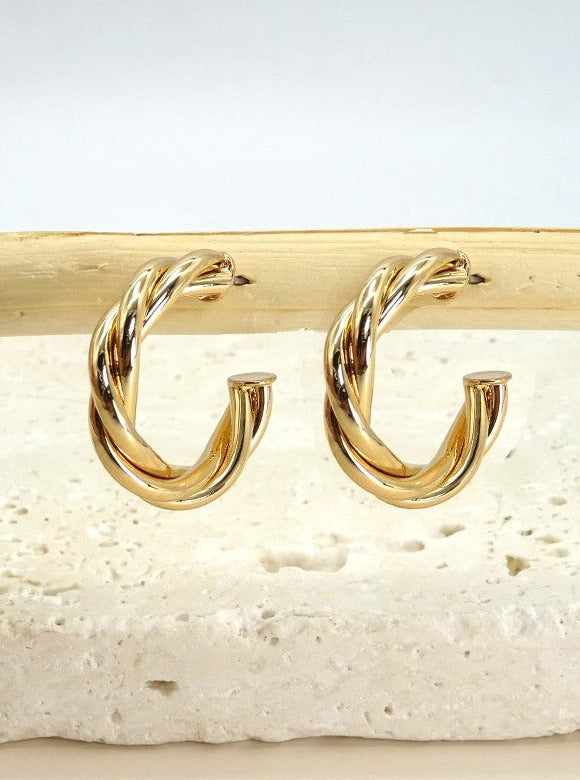 Luxe Looks Hoop Earrings