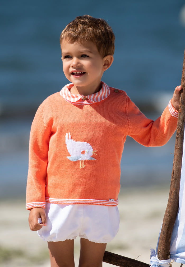 Mario Birds Orange Sweater