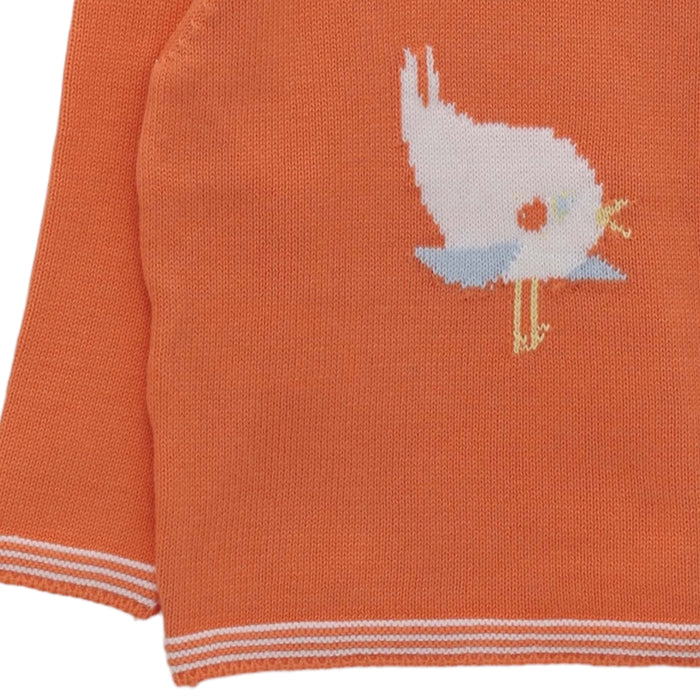Mario Birds Orange Sweater