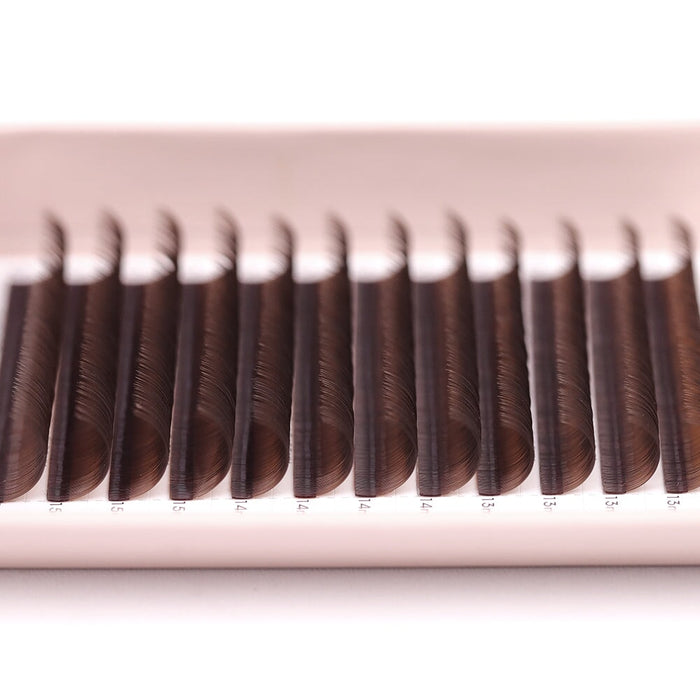 Medium Brown Classic Lashes