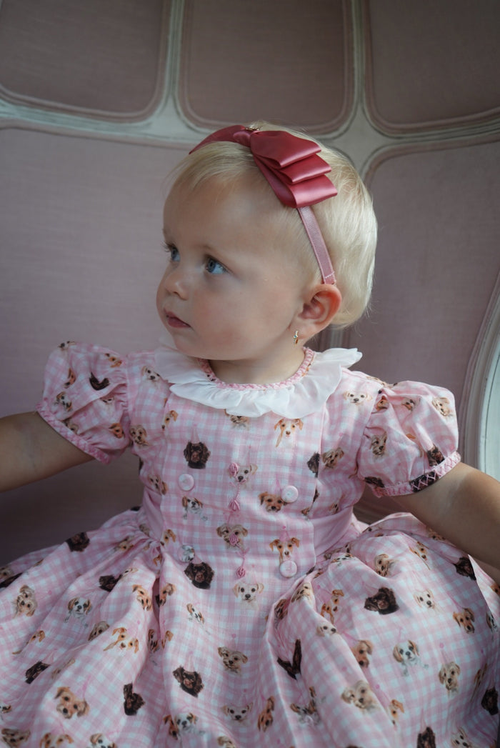 Party Dogs Pink Gingham Girl Dress