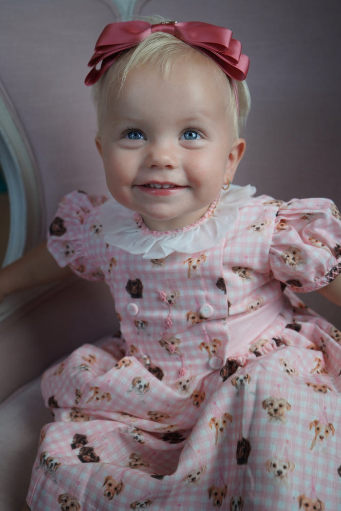 Party Dogs Pink Gingham Girl Dress