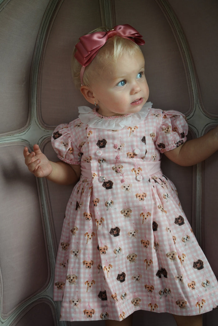 Party Dogs Pink Gingham Girl Dress