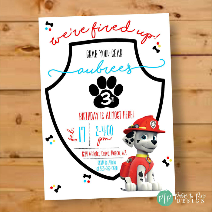 Paw Patrol Birthday