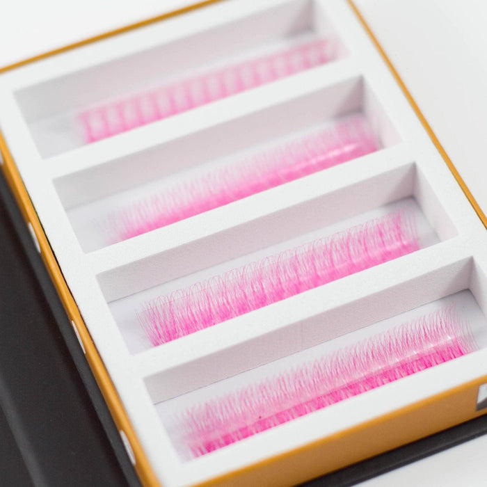 Pink 5D Rapid Promade Fans - 600 Fans