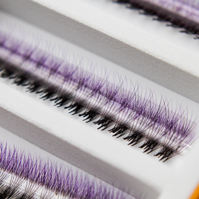 Purple Ombré 6D Rapid Promade Fans - 600 Fans