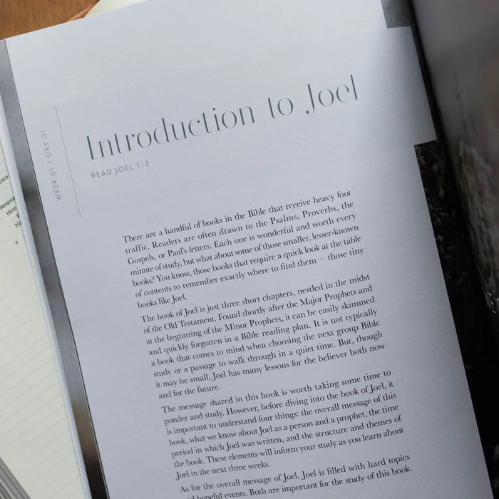 Restored | Joel Bible Study