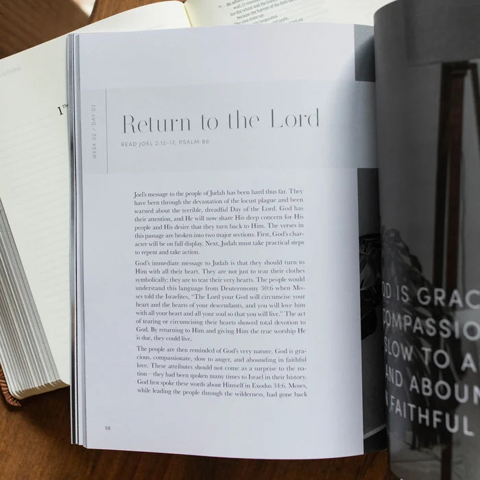 Restored | Joel Bible Study