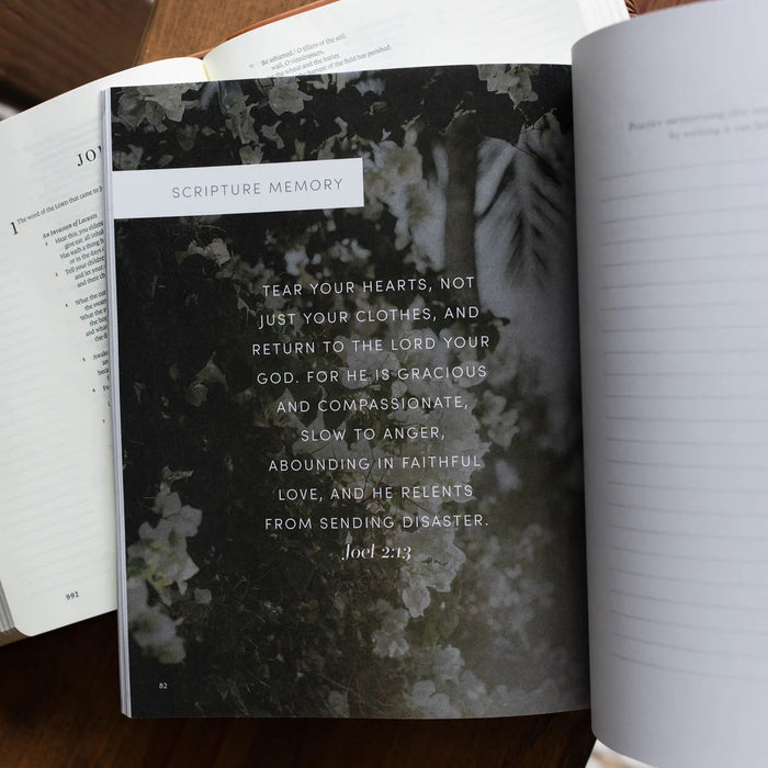 Restored | Joel Bible Study
