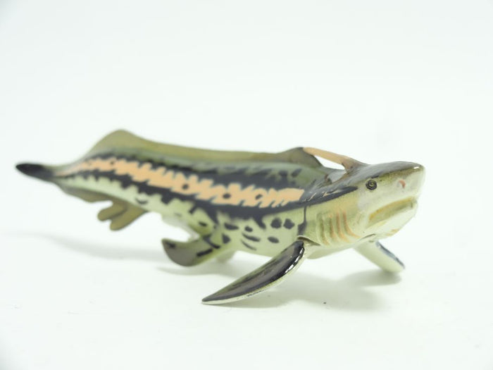Retired Kaiyodo Choco Egg DINOTALES Xenacanthus Shark Dinosaur PVC mini figure model